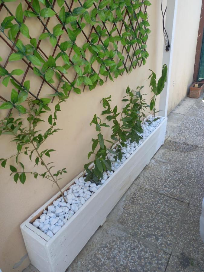 Double Room Fucecchio Ngoại thất bức ảnh